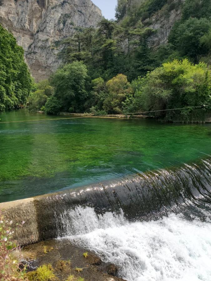 La Fontaine Au Loup Hotel Saint-Maurice-sur-Eygues Kültér fotó