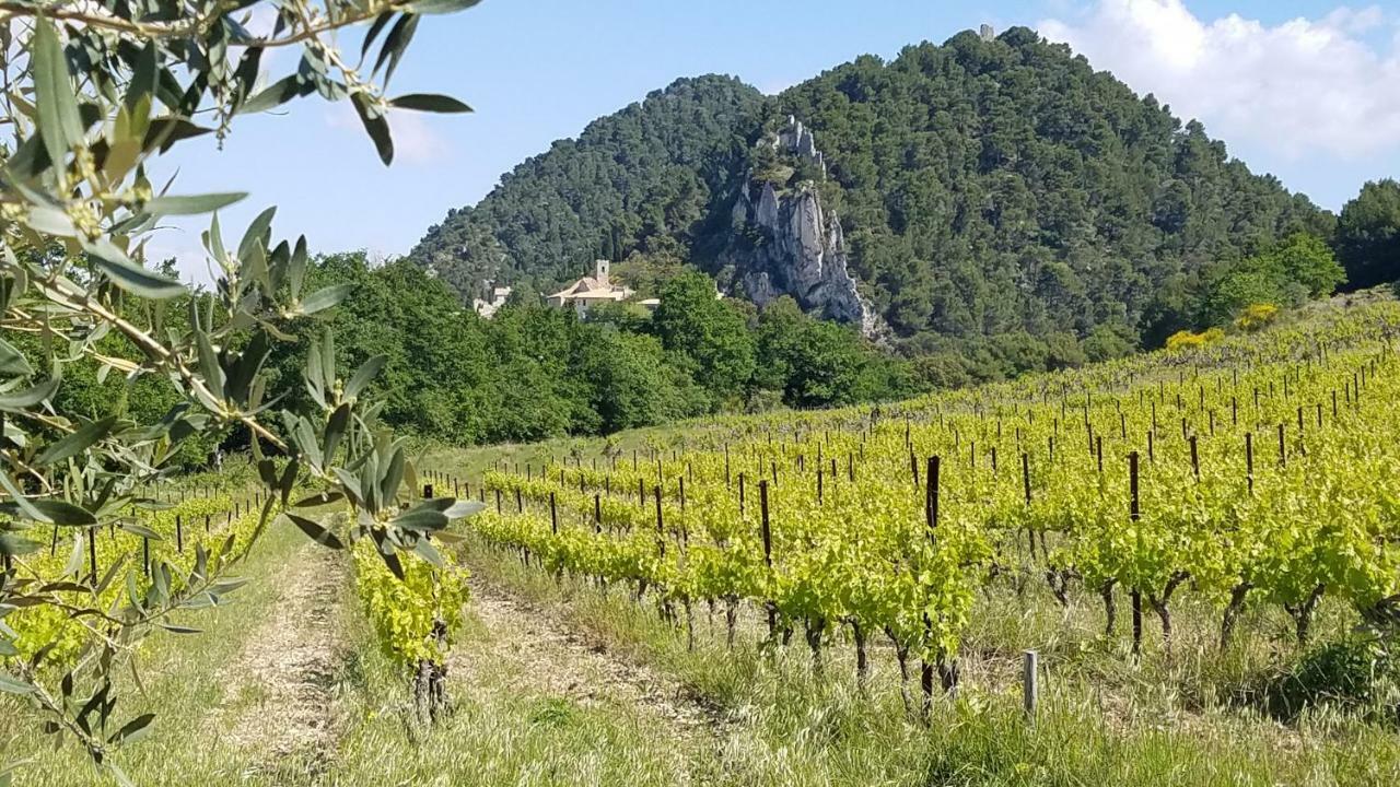 La Fontaine Au Loup Hotel Saint-Maurice-sur-Eygues Kültér fotó