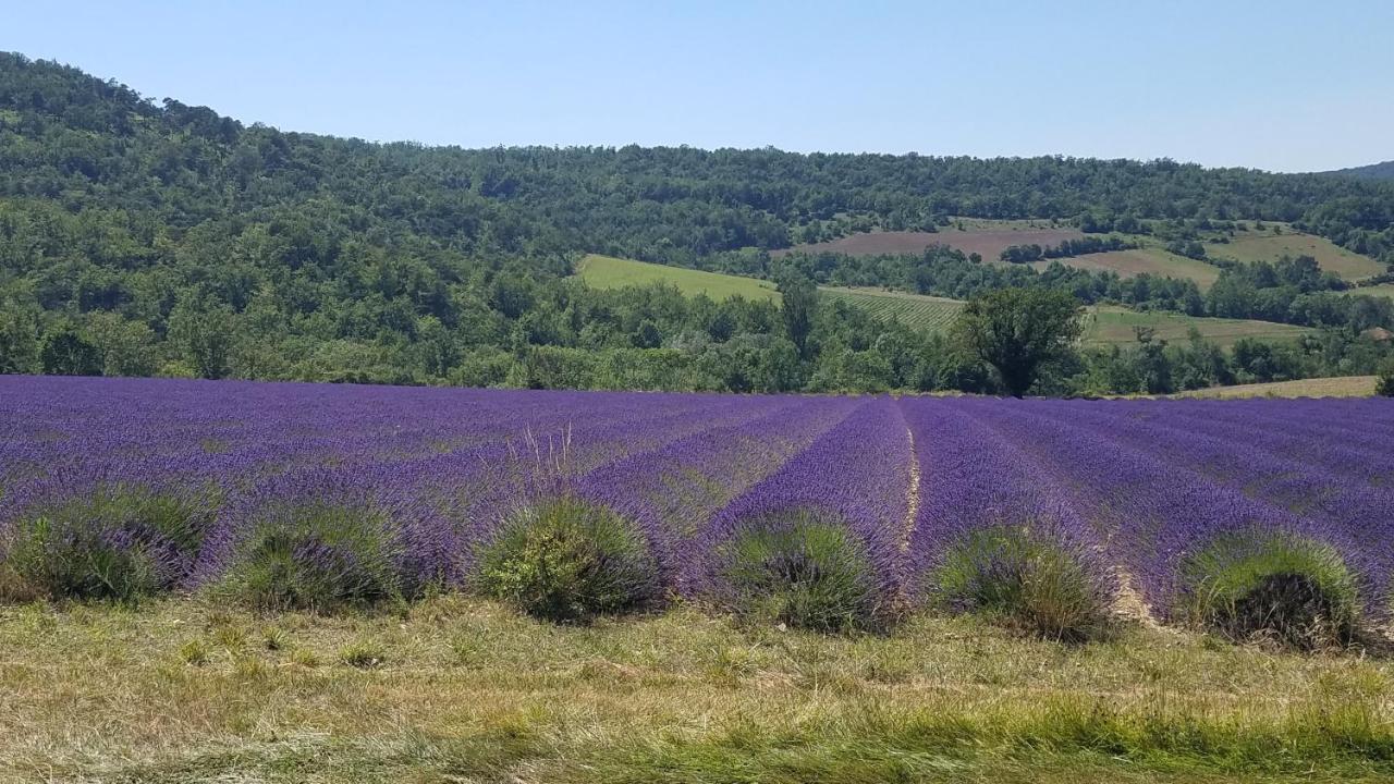 La Fontaine Au Loup Hotel Saint-Maurice-sur-Eygues Kültér fotó